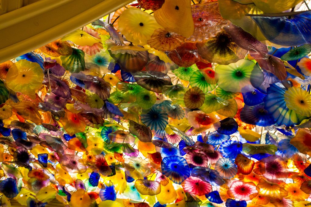 Chihuly Beauty